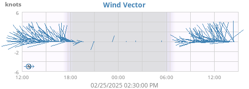 Wind Vector